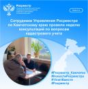 Сотрудники Управления Росреестра по Камчатскому краю провели неделю консультаций по вопросам кадастрового учета